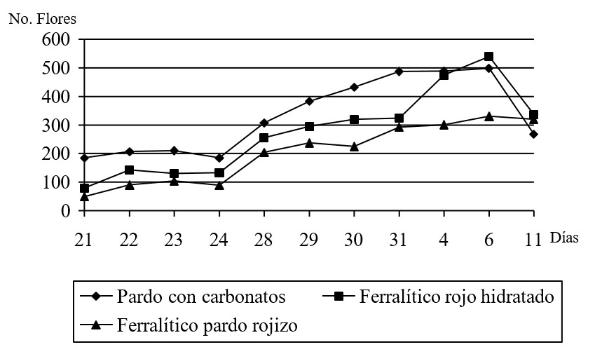 I. triloba , número de flores por suelo vs. días de conteo.
