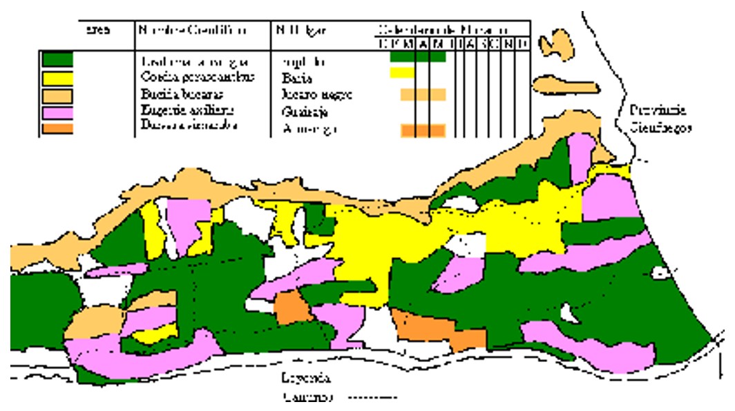 Segmento del mapa distribución de las principales plantas madero-melíferas en la Ciénaga de zapata. Provincia Matanzas.