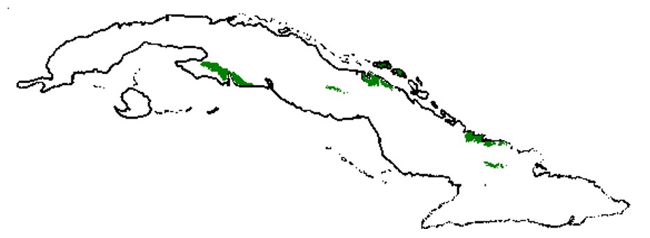 Distribución natural del Soplillo en Cuba.