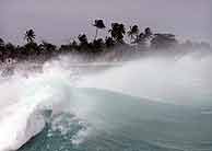 Huracán Dennis en la playa cubana de Girón. (Foto: EFE.) Daños en los ecosistemas melíferos costeros. Internet, julio de 2005