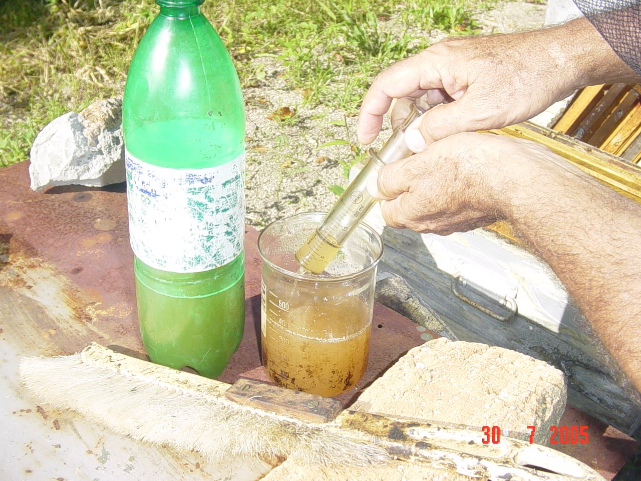 Jarabe de sacarosa con el ácido oxálico