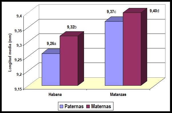 Comparación de las longitudes del ala anterior derecha de obreras de colmenas paternas y maternas de los CCR 1 y 2 (Mayo de 2008).