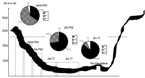 Perfil de morfotipos de abejas híbridas colombianas de las zonas biogeográficas de bh-PM, bmh-PM y bs-T: Africanizada (A), Africanizada con europea (AE) y Europea con africanizada (EA) departamento del Tolima.